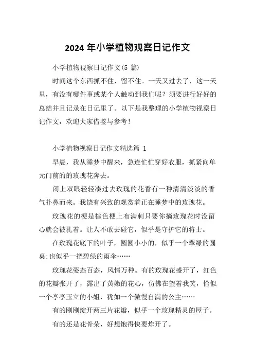 2024年小学植物观察日记作文