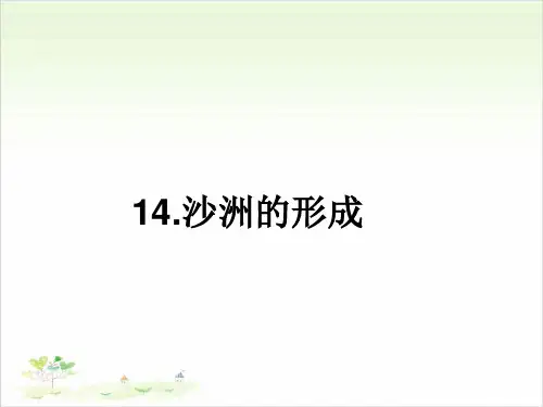 五年级下册科学-14沙洲的形成-冀教版-PPT课堂课件