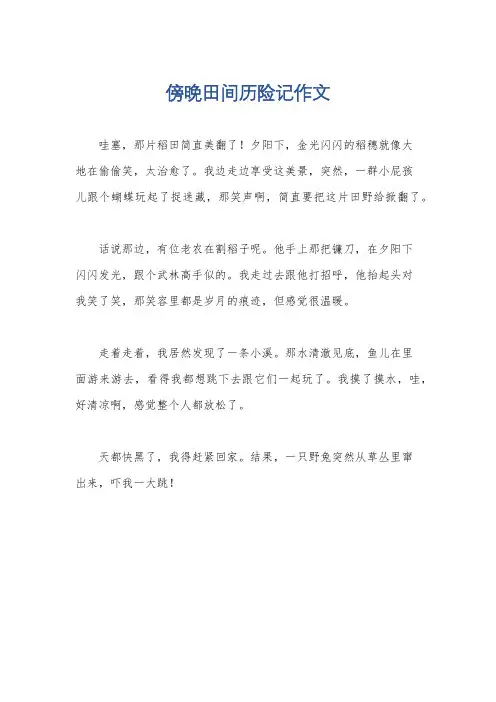 傍晚田间历险记作文