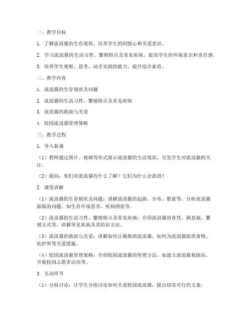 校园流浪猫教学设计方案