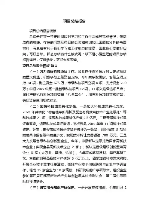 项目总结报告