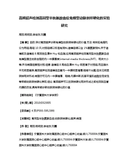 高频超声检测高同型半胱氨酸血症兔模型动脉粥样硬化的实验研究