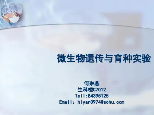 微生物遗传与育种实验PPT课件
