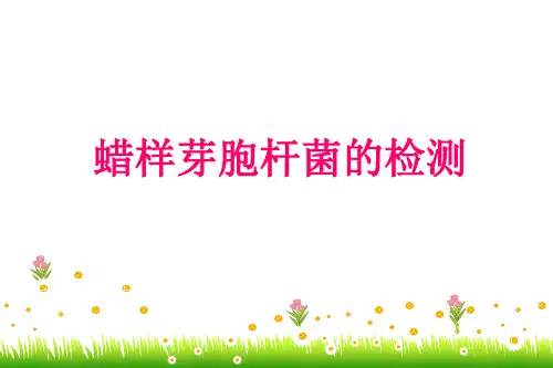 志贺氏菌实验室检测