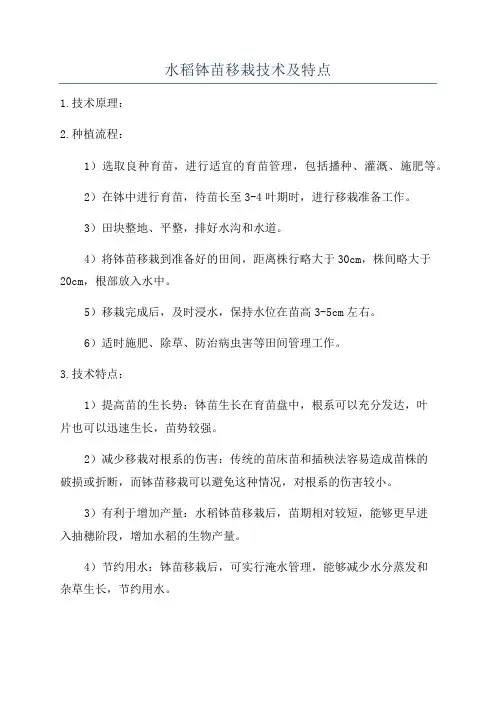 水稻钵苗移栽技术及特点