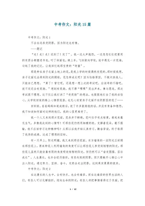 中考作文：阳光15篇