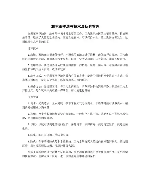 霸王雨季造林技术及抚育管理