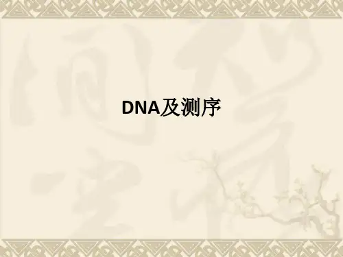 DNA及测序ppt课件