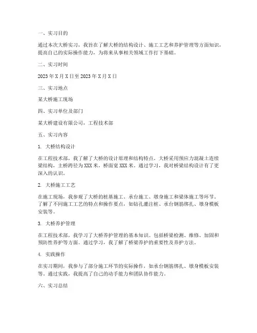 大桥实习报告