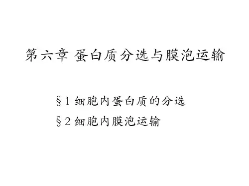 细胞生物学 第六章蛋白质分选与膜泡运输