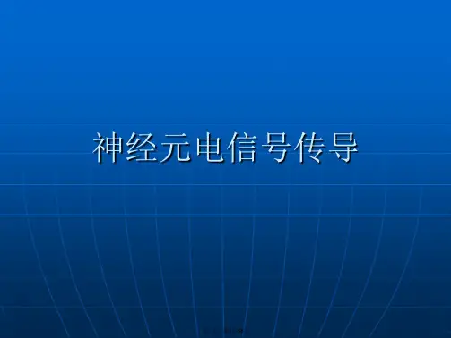 神经元电信号传导