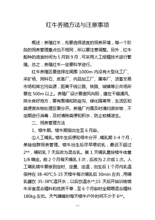 红牛养殖方法与注意事项