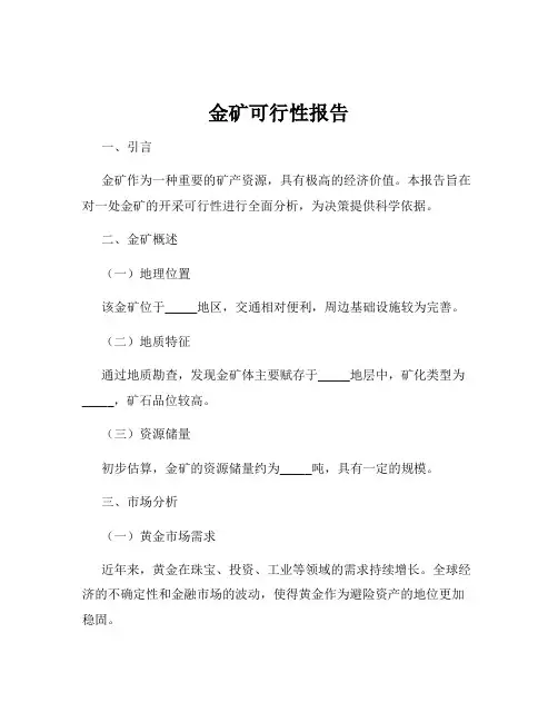 金矿可行性报告