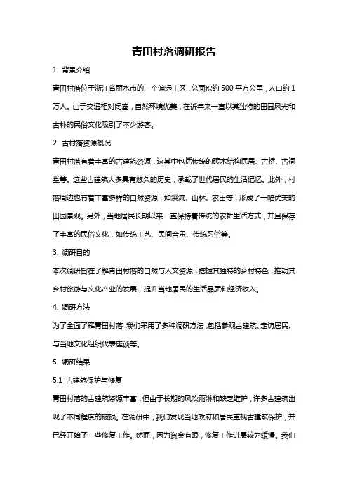 青田村落调研报告