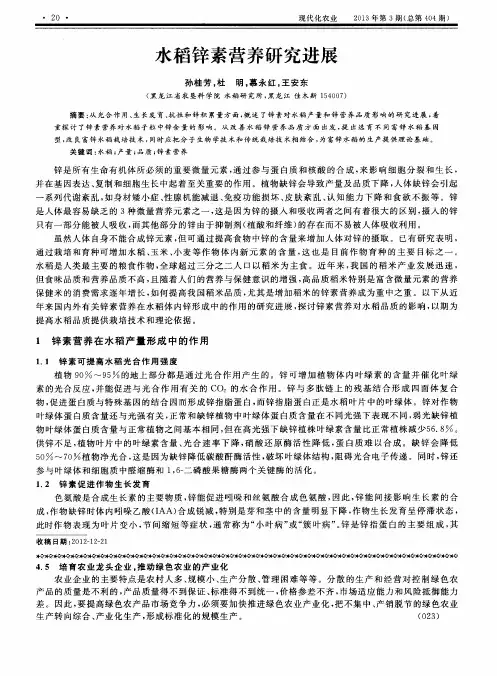 水稻锌素营养研究进展
