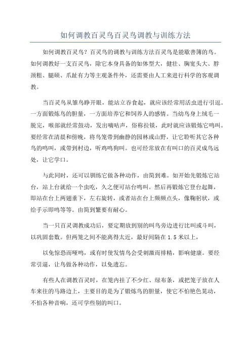 如何调教百灵鸟百灵鸟调教与训练方法