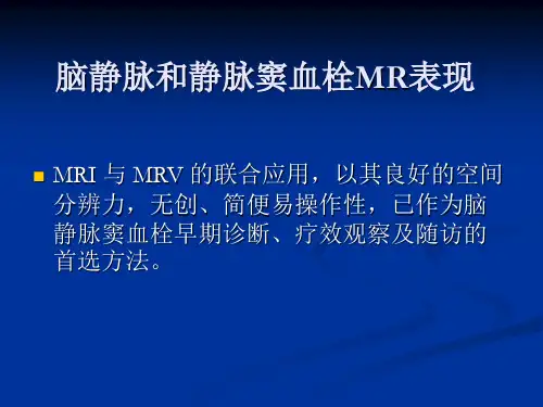 颅静脉系统会PPT