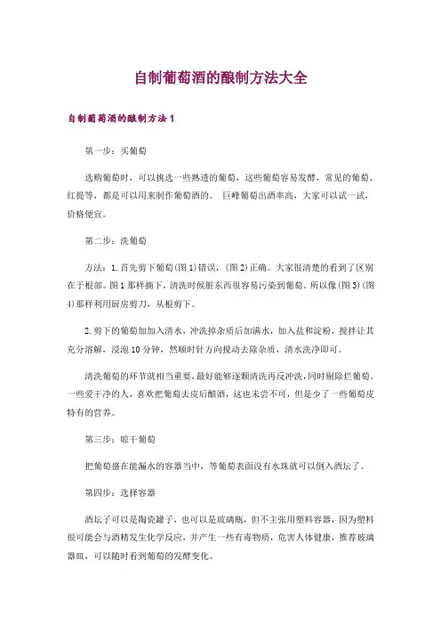 自制葡萄酒的酿制方法大全