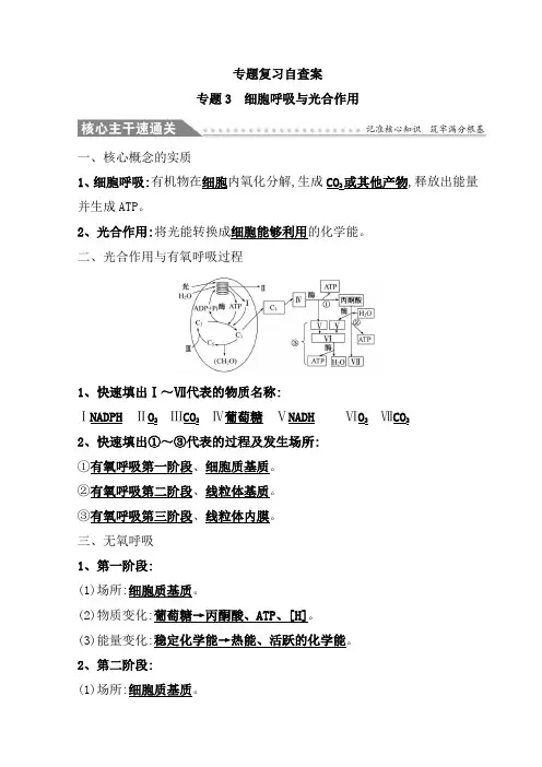 2020版高中生物二轮复习练习：专题三 细胞呼吸与光合作用 专题复习自查案 专题3 Word版含答案