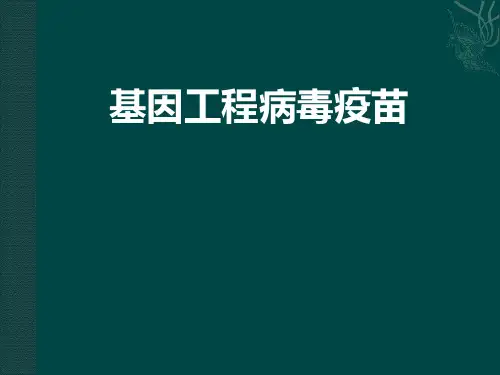 生物技术制药——基因工程病毒疫苗精品文档