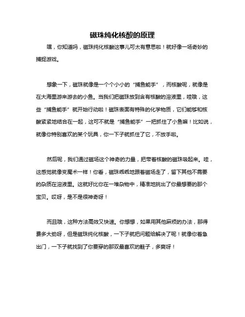 磁珠纯化核酸的原理