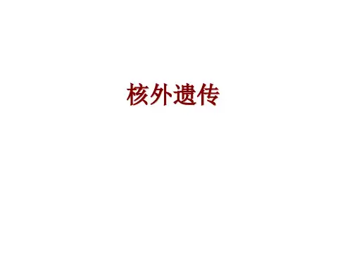 核外遗传