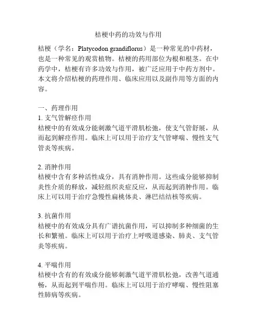 桔梗中药的功效与作用