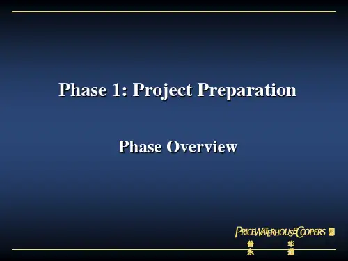 普华永道普华永道-项目管理.ppt
