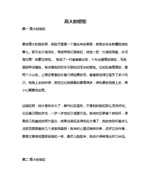 作文《高大的骆驼》