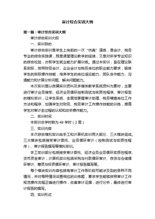 审计综合实训大纲