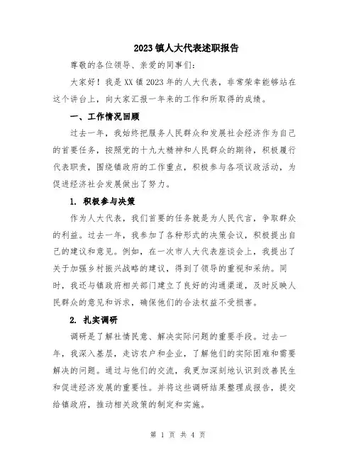 2023镇人大代表述职报告