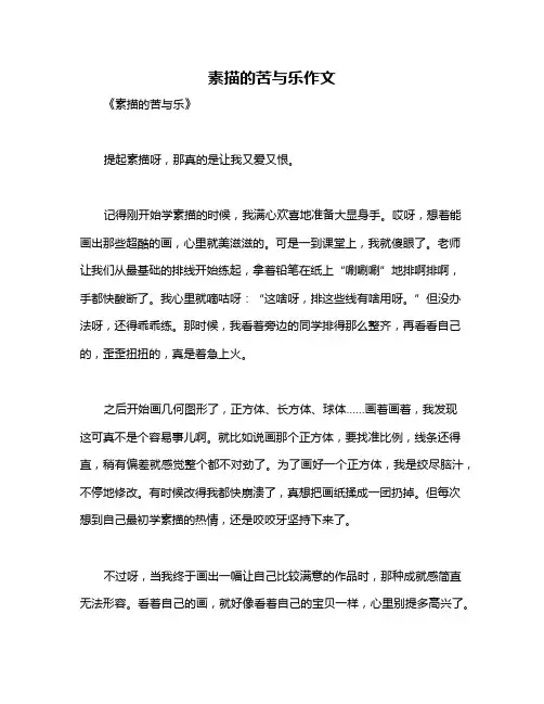 素描的苦与乐作文