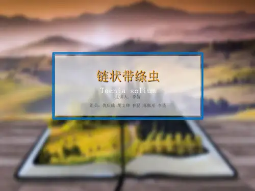 猪带绦虫ppt