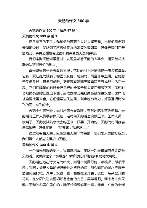 天鹅的作文300字（精选47篇）