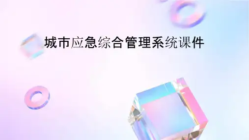 城市应急综合管理系统课件