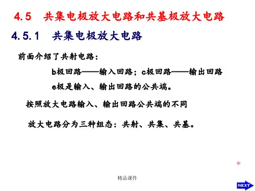 共集电极放大电路和共基极放大电路