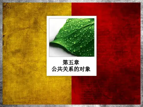 公共关系的对象