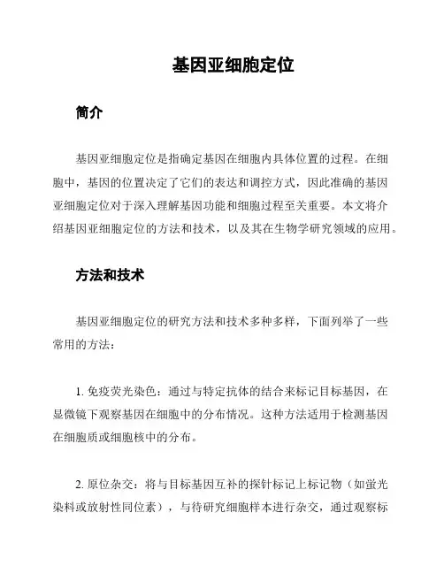 基因亚细胞定位