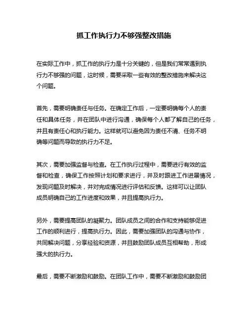 抓工作执行力不够强整改措施