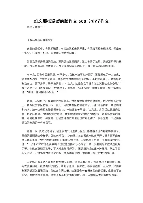 难忘那张温暖的脸作文500字小学作文