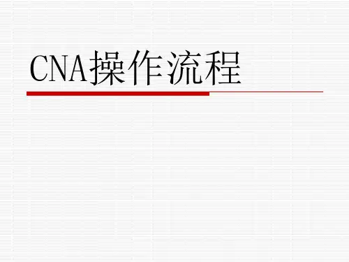 CNA操作流程(PPT45页)