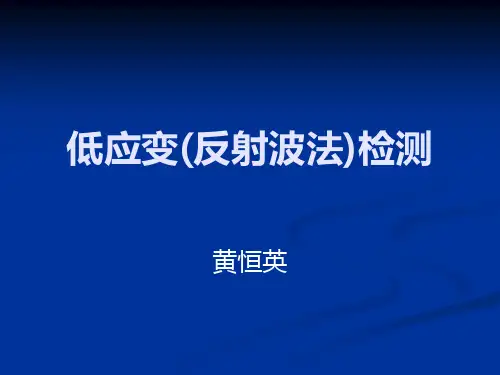 低应变(反射波法)检测培训