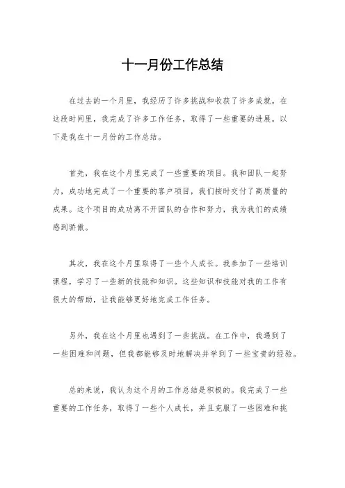 十一月份工作总结