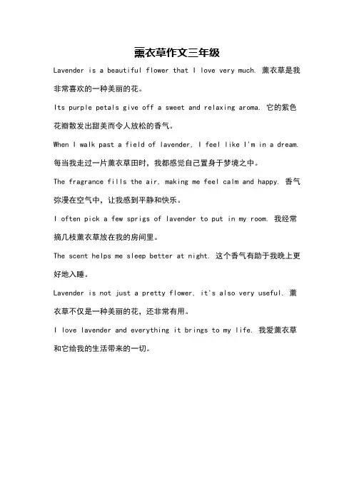 薰衣草作文三年级