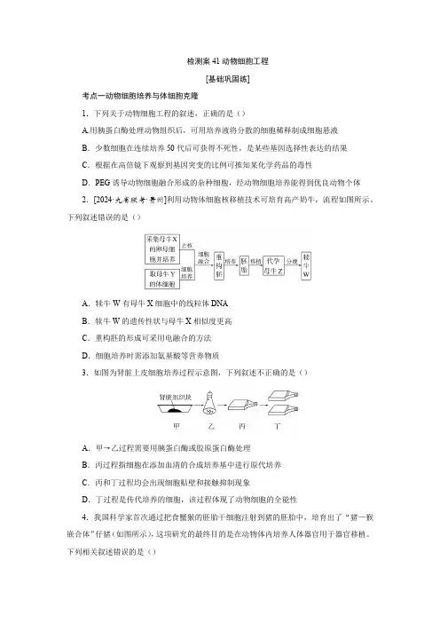 2025届高考生物复习检测案41动物细胞工程