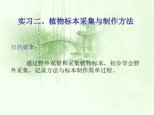 实习植物标本采集与制作方法