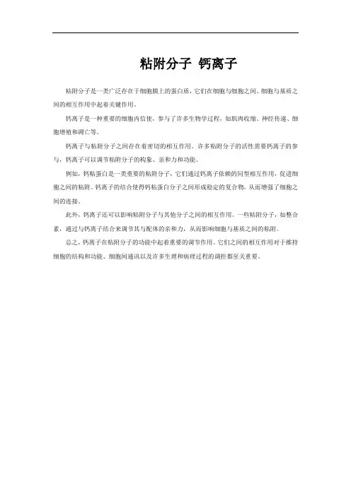 粘附分子 钙离子