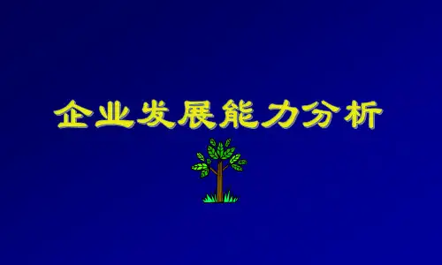 【发展战略】企业发展能力分析(1)