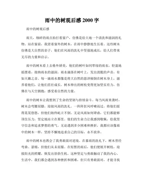 雨中的树观后感2000字