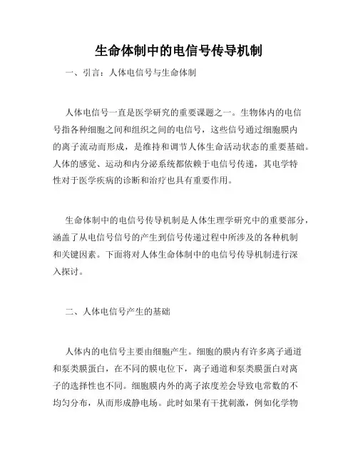 生命体制中的电信号传导机制